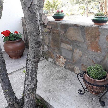 Nikiforos House Lägenhet Agios Nikolaos  Exteriör bild