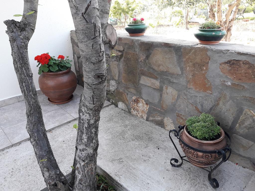 Nikiforos House Lägenhet Agios Nikolaos  Exteriör bild